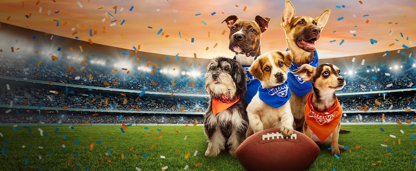 Puppy Bowl XXII