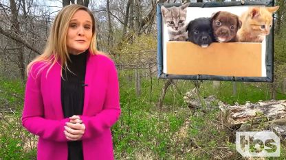 Full Frontal with Samantha Bee