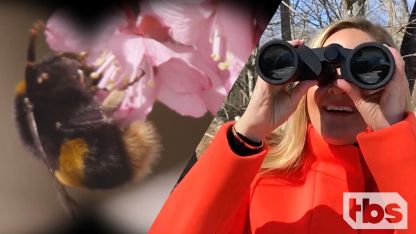 Full Frontal with Samantha Bee